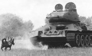 An anti-tank dog and tank