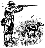 Pointer's pointing stance