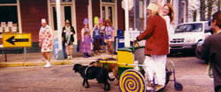 Dog cart during Mardi Gras in New Orleans