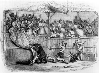 Image:Bearbaiting.jpg