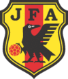 Shirt badge/Association crest