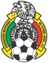 Shirt badge/Association crest