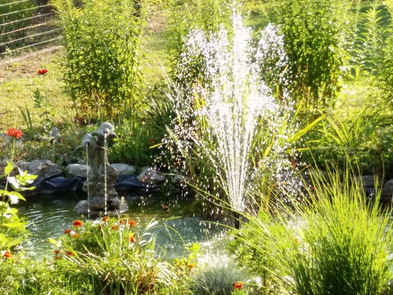 20150801_180514.jpg