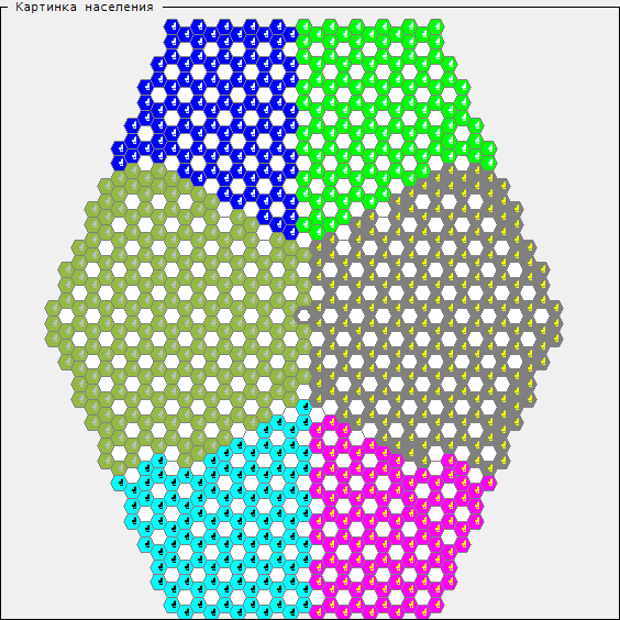 Final colony