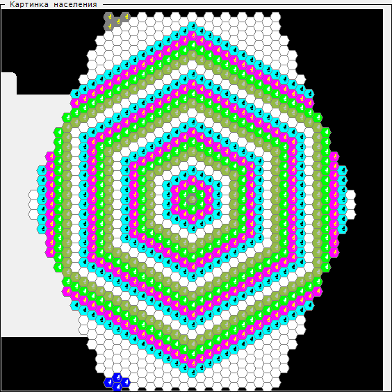Initial colony