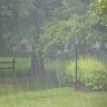 rainy