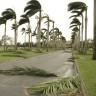 windy