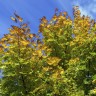 change of season