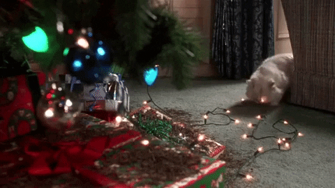 Karácsonyi Cicás gif