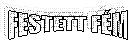 FESTETT FÉM