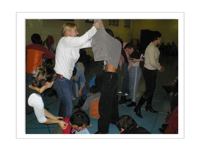 2200661.jpg