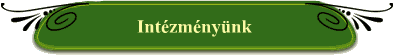 Intzmnynk