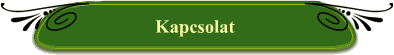 Kapcsolat