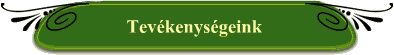 Tevkenysgeink
