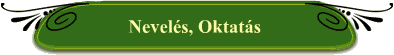 Nevels, Oktats