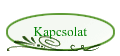 Kapcsolat