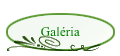 Galria