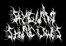 stygian_shadows_logo