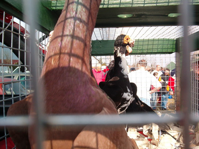 m�s szemsz�gből