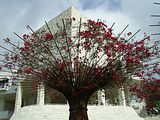 Getty 1
