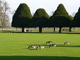 Hampton Court