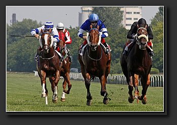 horse racing_1.jpg
