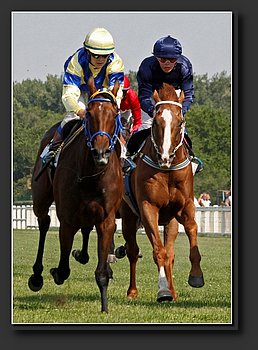 horse racing_6.jpg
