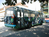 Fot:Dobos Rbert 