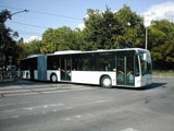 Fot: Dobos Rbert