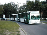 Fot: Dobos Rbert