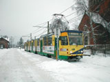 216 Fot:Dobos Rbert