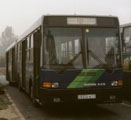 Fot: Bodnr Lszl
