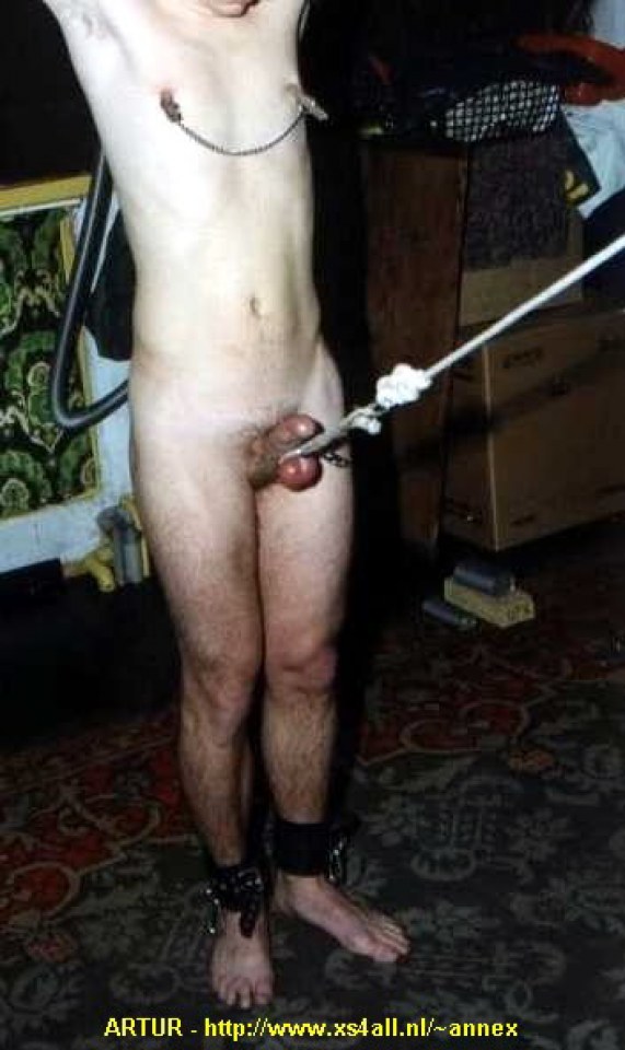 Cock on chains