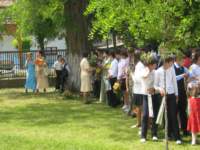 picture036_small.jpg