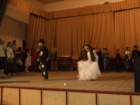 dscf0449_small.jpg
