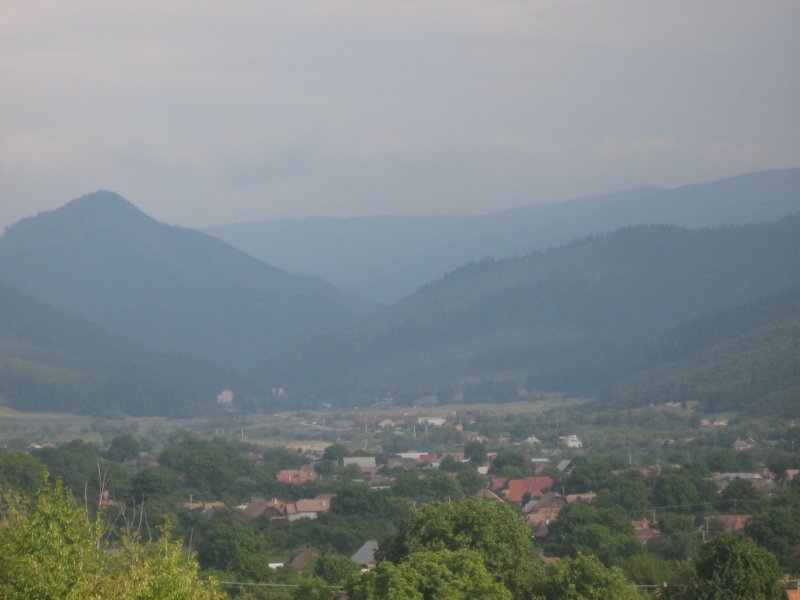g1.jpg