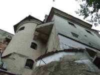 torcsvark15_small.jpg