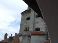 torcsvark6_small.jpg
