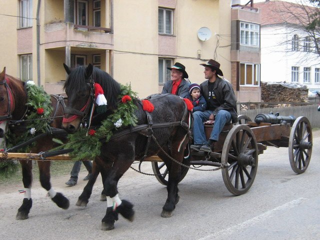 nneplyesfelvonulsagelenceigyvalmrcius152007.jpg