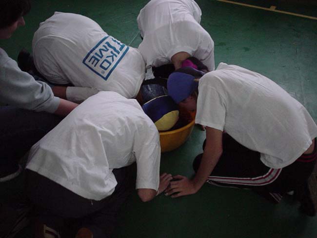 golya0463