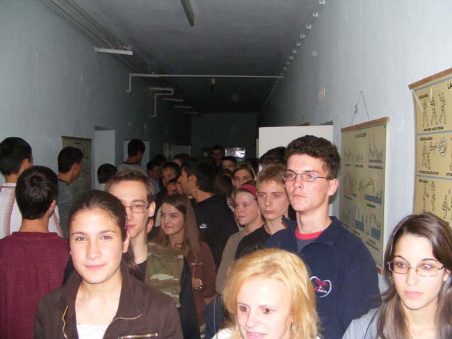 golya0744