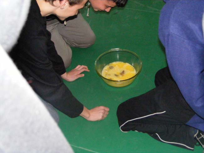 golya0754