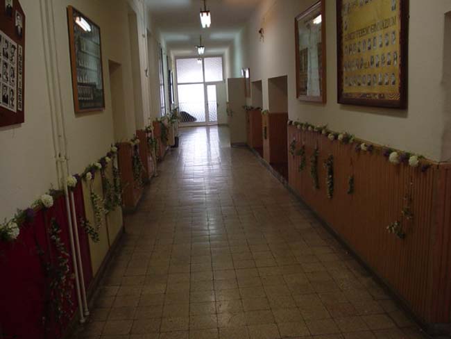 DSC01372