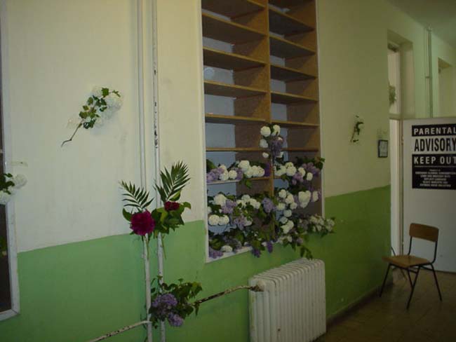 DSC01373