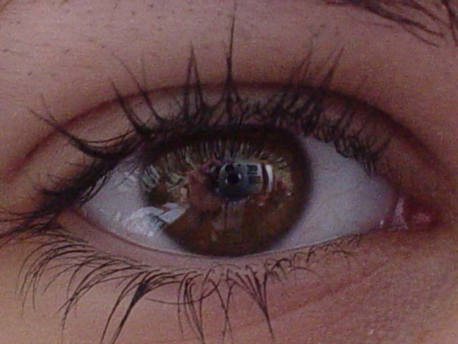 DSC01482