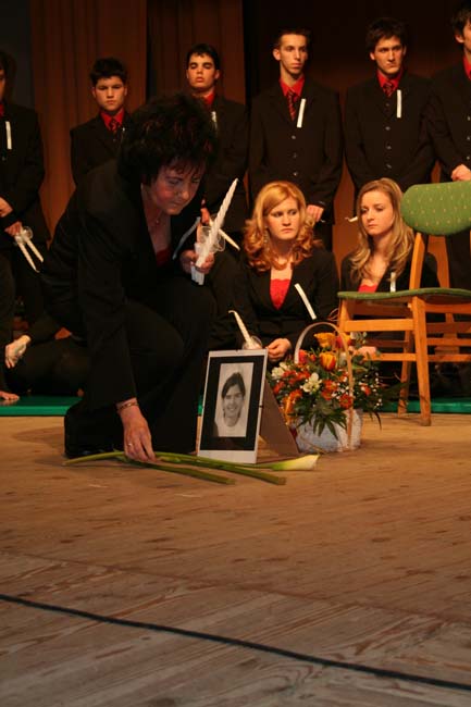 szalag06264