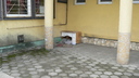  • Kazincbarcika, Mcsonyi t, 26-os falatoz •  • gg630504 cc-by-nc-sa