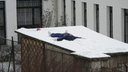  • Kazincbarcika, ptk tja, voda, h •  • gg630504 cc-by-nc-sa