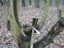  • Kazincbarcika, Kiserd, kanl •  • gg630504 cc-by-nc-sa