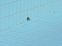  • Hajdbszrmny, Bocskai Strand s Gygyfrd •  • gg630504 cc-by-nc-sa